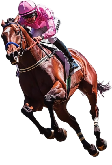 Jockey on horse